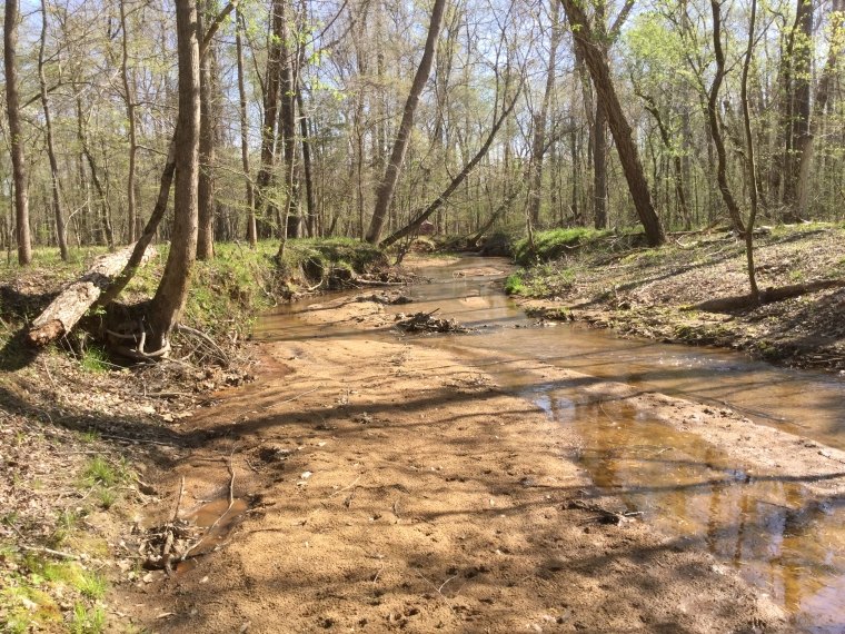 Image of Gregory creek showing the absence of a meandering path which indicated that the creek and its tributaries were unstable before the ecological restoration project. 