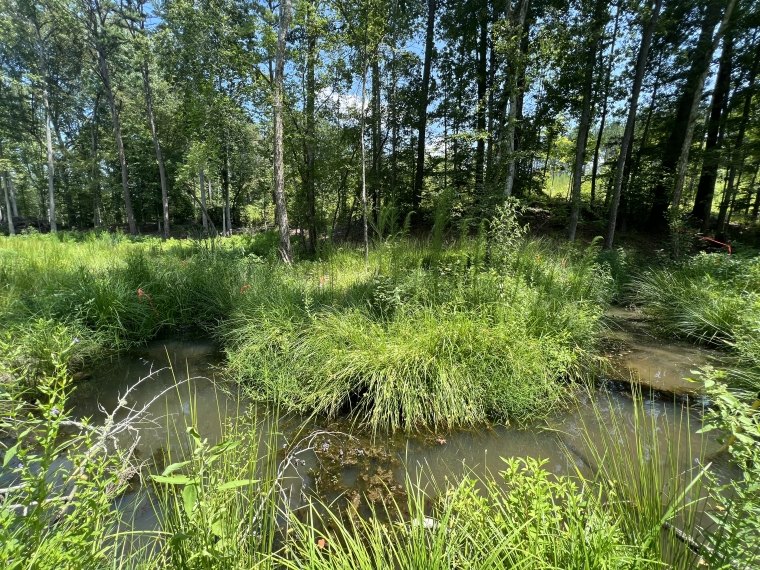 An image from the construction and monitoring phase of one of the ecological restoration sites. 