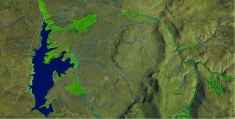 wetland data