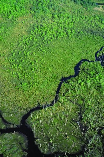 aerial wetlands